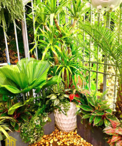 thi công ban công tiểu cảnh